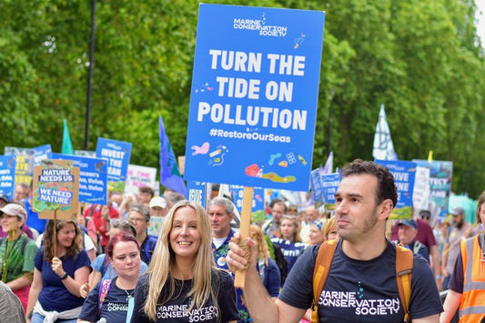 Signs of Protest: Why Our Shirts Were Made to Be Seen