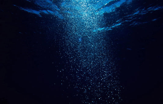Deep Discoveries: Fishy Finds From the Deep Dark