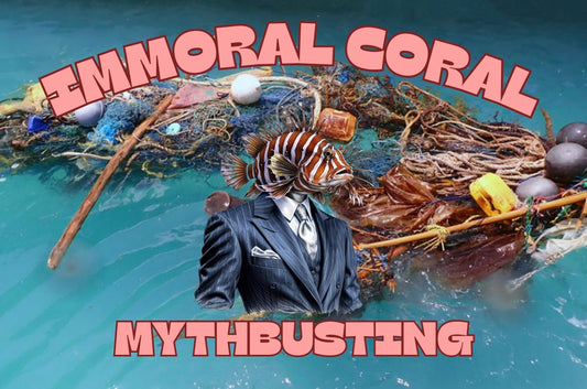 5 Ocean Myths Busted: What’s Really Harming Marine Life