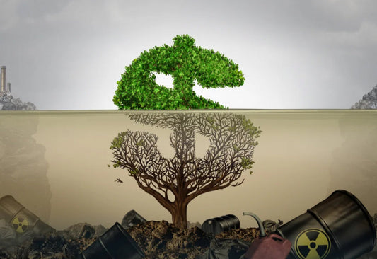 Trash in Disguise: Eco‑Brand Greenwashing