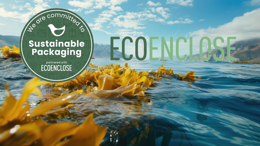 Normalizing Sustainability: Why Seaweed and Algae Belong in Your Mailbox