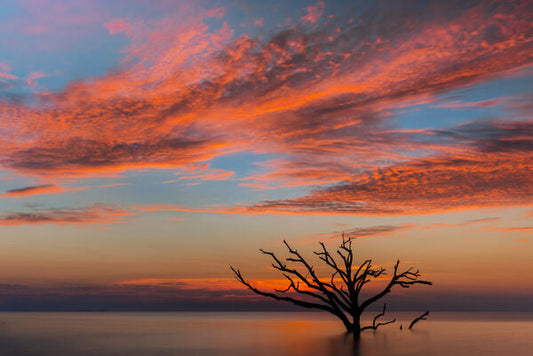 The Immoral Standard: A Legacy for the Ocean