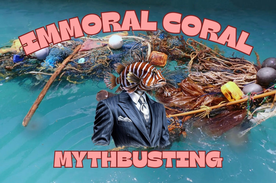 5 Ocean Myths Busted: What’s Really Harming Marine Life