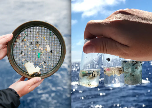 Trendy Trash: How Plastic Accessories Are Polluting the Ocean