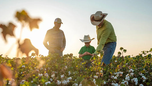 Blood in the Fibers: The Dirty Truth About Cotton