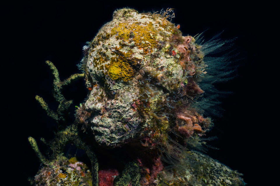 Gallery Beneath the Waves: How Art Is Rebuilding Coral Reefs
